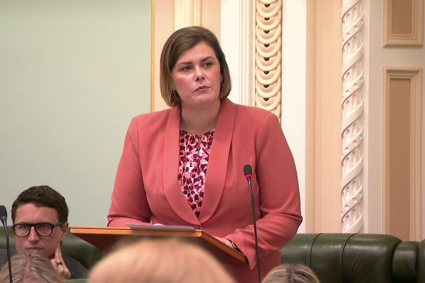 Corrective Services Minister Nikki Boyd speaking in parliament.