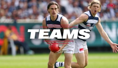 AFL Teams Round 10 2026