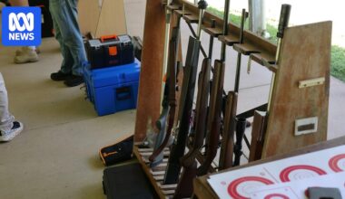 Victorian government will not introduce firearm cap following gun law review