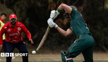 Guernsey batter