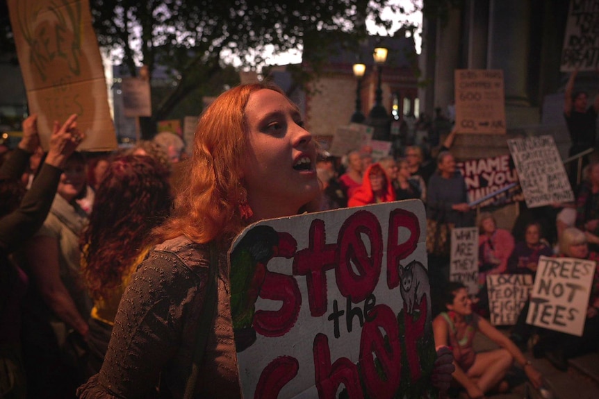 Protesters outside SA parliament.
