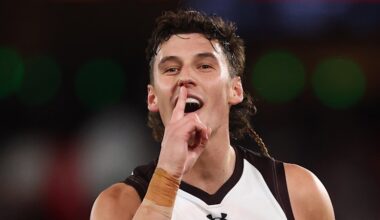 St Kilda vs Hawthorn LIVE: AFL round 12 2026, scores, results, odds, stats and start time from Marvel Stadium