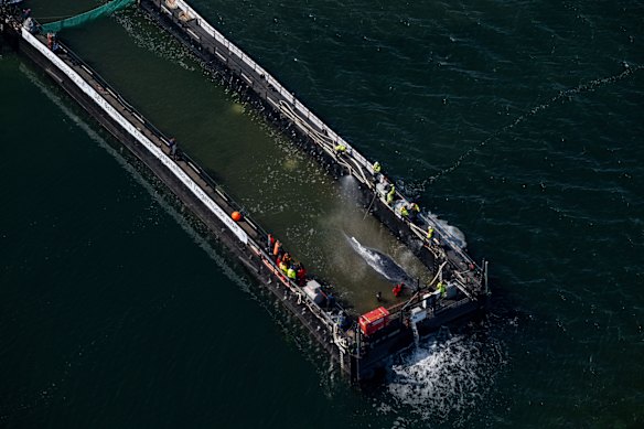 The barge was then towed into the North Sea, with the whale released 70 kilometres from the coast of Skagen, Denmark.