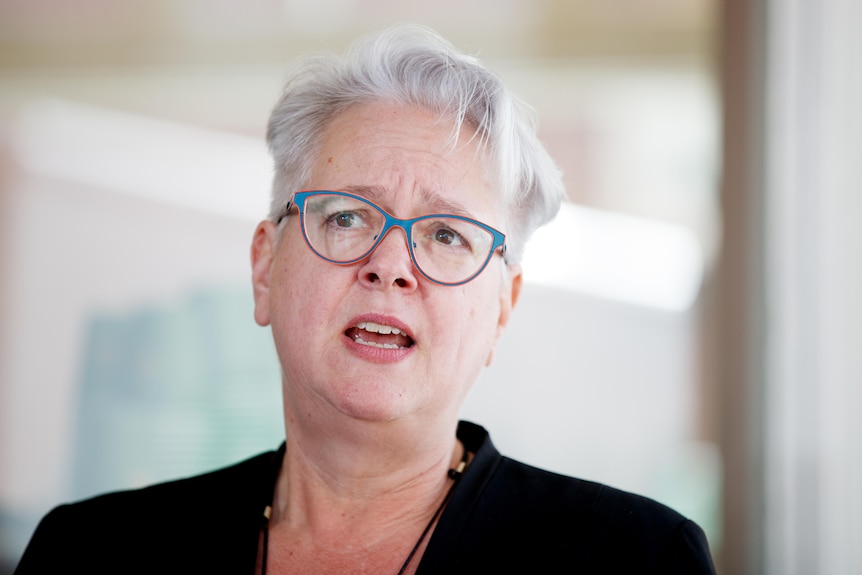 A woman with short grey hair and glasses talking to media