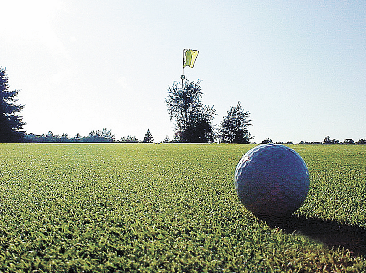 A golf ball on a golf course [JOONGANG ILBO]