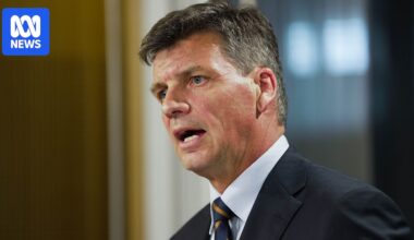 What negative gearing and transgender rights reveal about the Liberals' populist strategy
