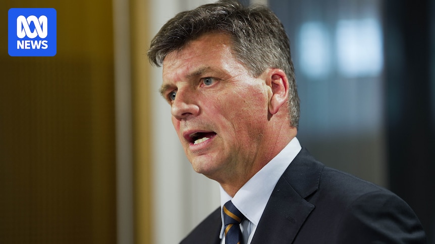What negative gearing and transgender rights reveal about the Liberals' populist strategy