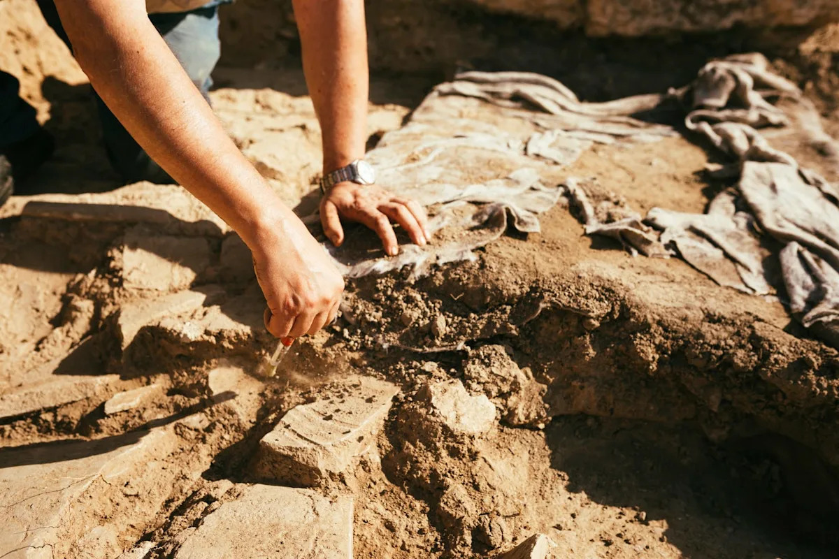 Scientists Discovered Remains of the Earliest Animals on Earth. They May Have Made a Big Mistake.