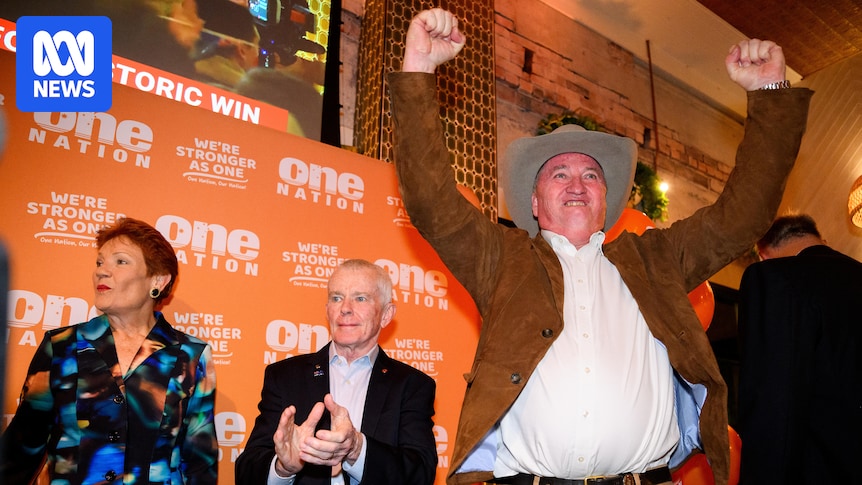 Calls about One Nation's electoral chances in Western Sydney 'premature', analyst says