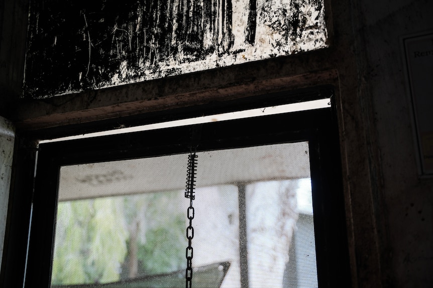 A silhouette of screen door ajar