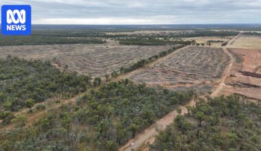 Magnetic South land clearing found not to have breached national environmental law