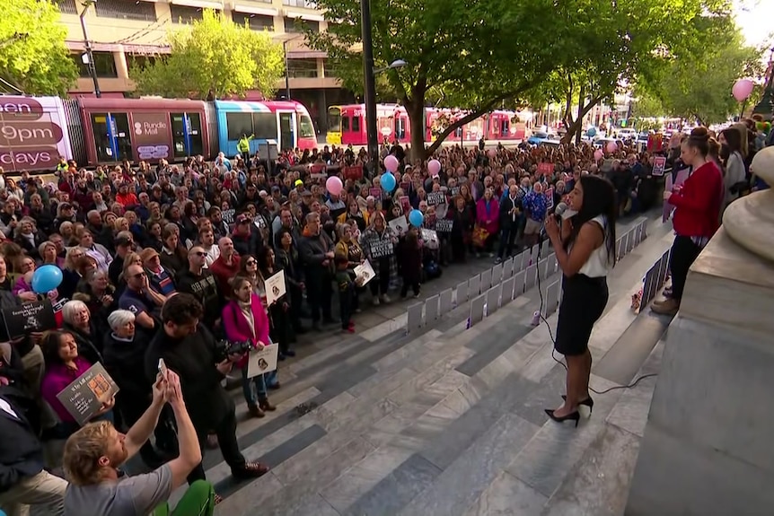 hundreds of people gather looking at several people speaking on the steps on parliament house