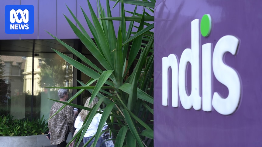 Billions of NDIS funds lost to 'integrity leakage' last year, executive tells parliamentary hearing