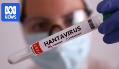 Hantavirus-hit cruise ship passengers to be chartered home from Spain