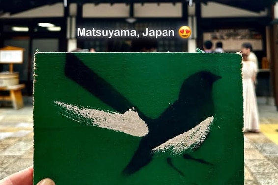 One of Mike McLean's willie wagtail paintings pictured in Japan.