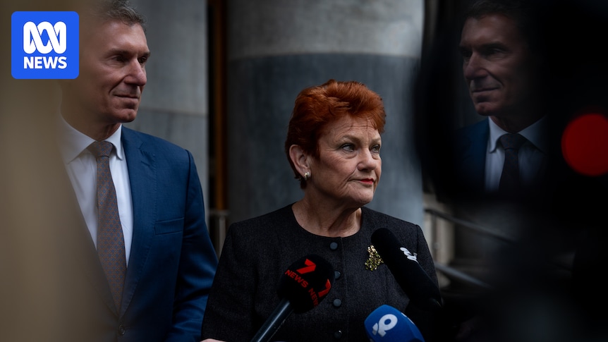 One Nation sets combative tone in South Australia, but tougher political tests await