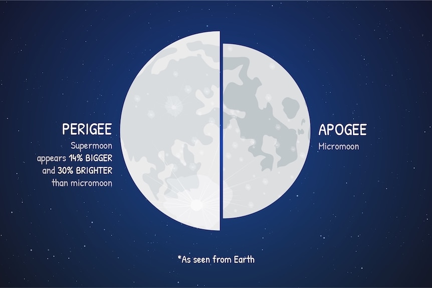 A large moon labeled perigee, and a smaller moon labelled apogee.