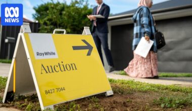 Housing market 'levelling out' as interest rate hikes place pressure on buyers