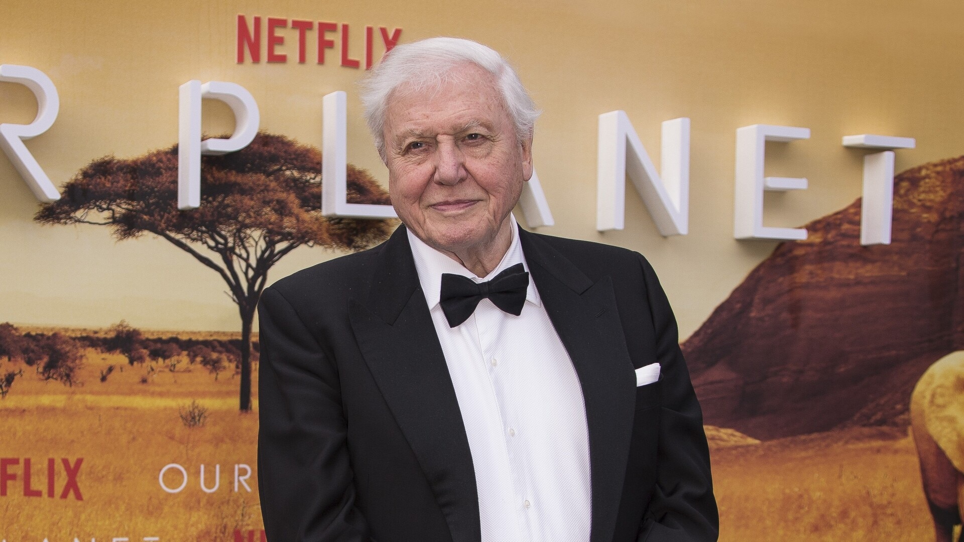 Sir David Attenborough celebrates milestone 100th birthday