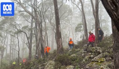 Tasmania Police 'open' to learning from volunteer group that has found remains in two missing person cases