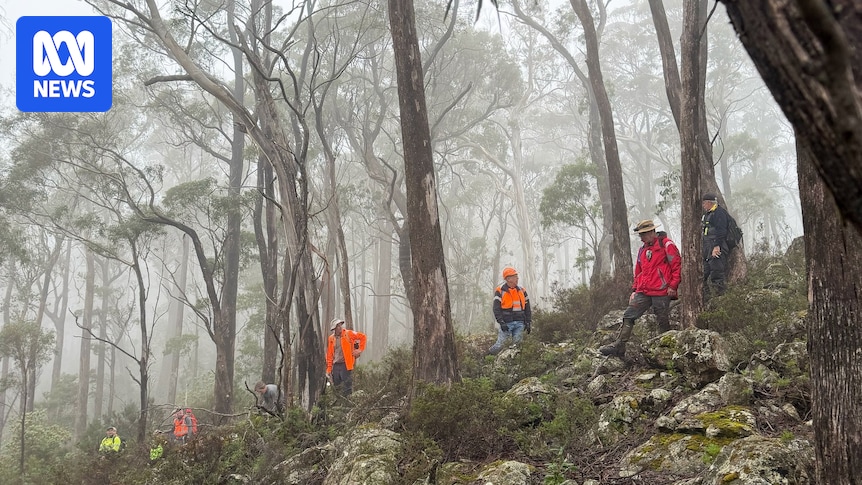 Tasmania Police 'open' to learning from volunteer group that has found remains in two missing person cases