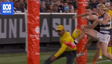 AFL concedes umpire error after 'howler' in Geelong-Carlton clash