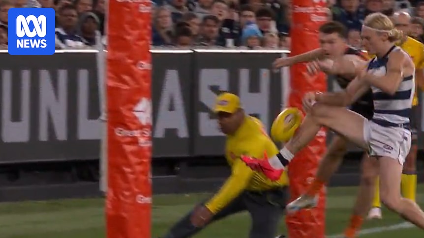 AFL concedes umpire error after 'howler' in Geelong-Carlton clash