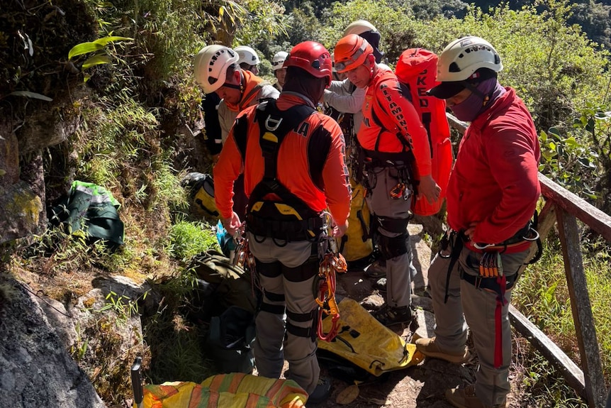 Rescuers in orange hi-viz gear and white helmets standing along a thin path in thick jungle.