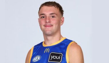 Brisbane Lions player under investigation for alleged homophobic slur