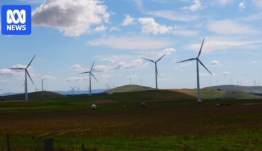 New study suggests majority of regional Australians back renewable energy transition