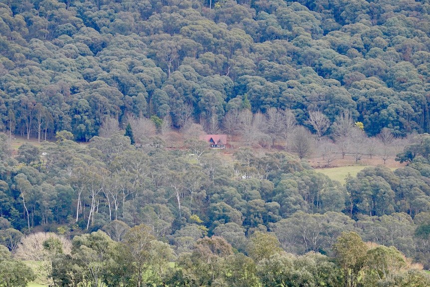 Aerial of a property in a forest