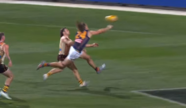 ‘Gee it’s a big call’: Contentious umpiring decision in Adelaide Crows vs Hawthorn