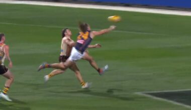 ‘Gee it’s a big call’: Contentious umpiring decision in Adelaide Crows vs Hawthorn