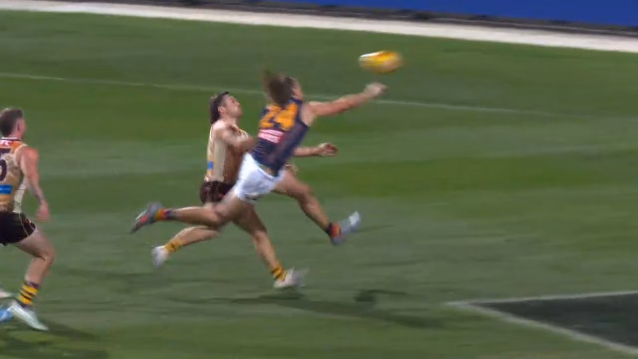 ‘Gee it’s a big call’: Contentious umpiring decision in Adelaide Crows vs Hawthorn