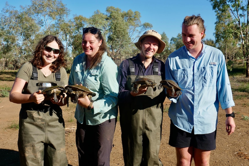 4 people smile standing each holding brown turtles