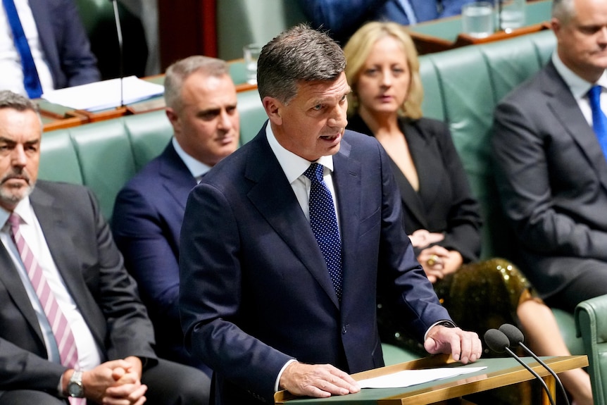 a male politician reading a speech in the chamber