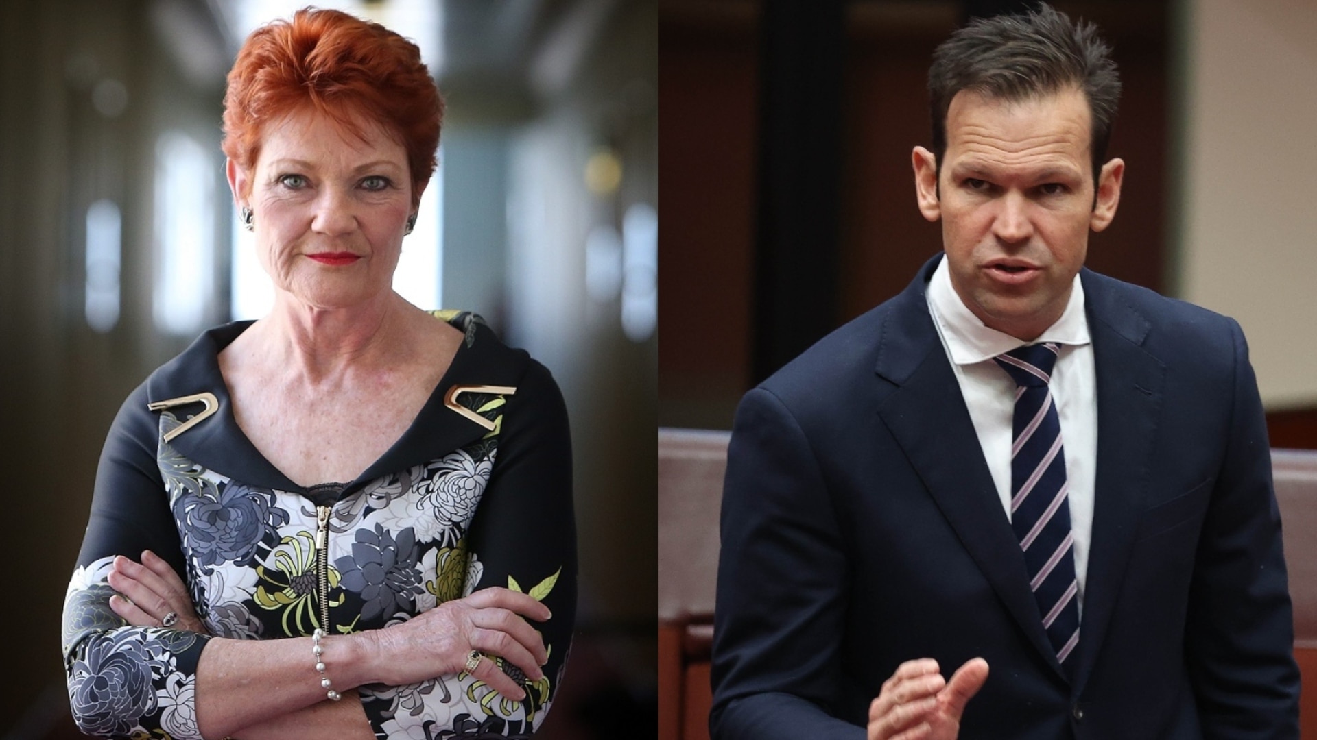 ‘All going to come down to the preferences’: Farrer by-election ‘anything but a two-horse race’