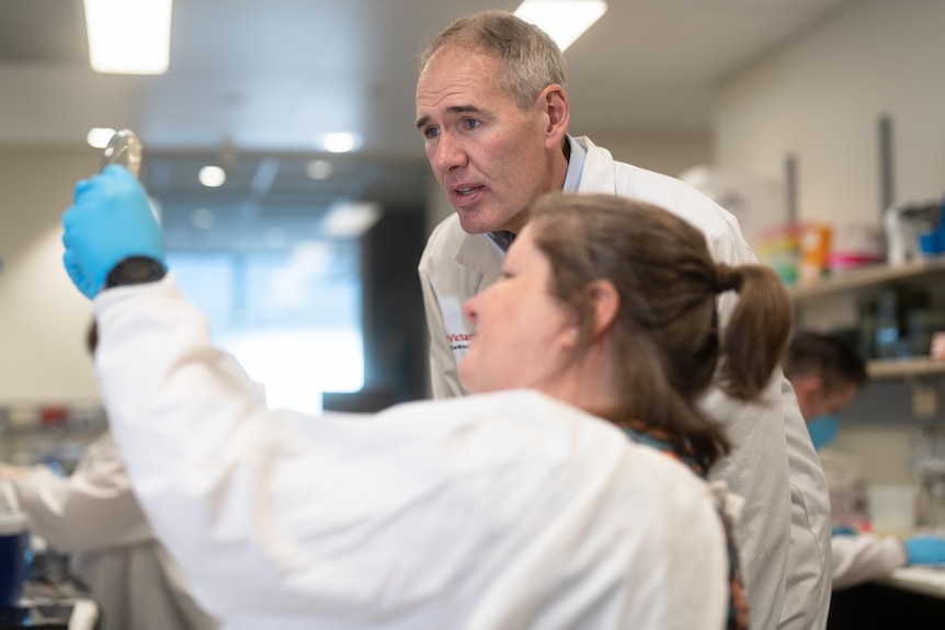 Victor Chang Cardiac Research Centre Director Professor Jason Kovacic wearing a white coat in a lab, looking at a test tube