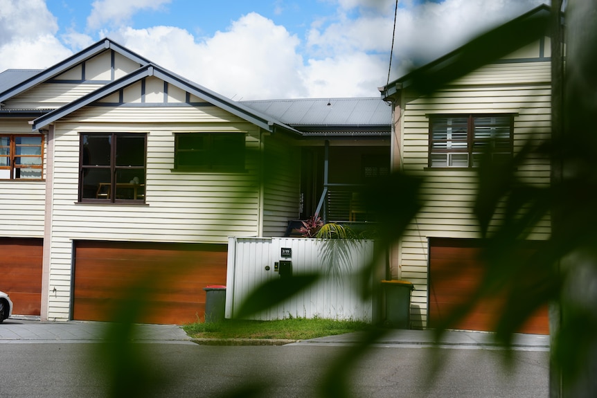 Photo of a building taken from behind leaves