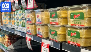 Bega's costs are up 10pc and customers will pay 'a large chunk' of it