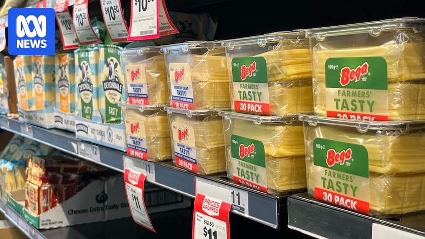 Bega's costs are up 10pc and customers will pay 'a large chunk' of it