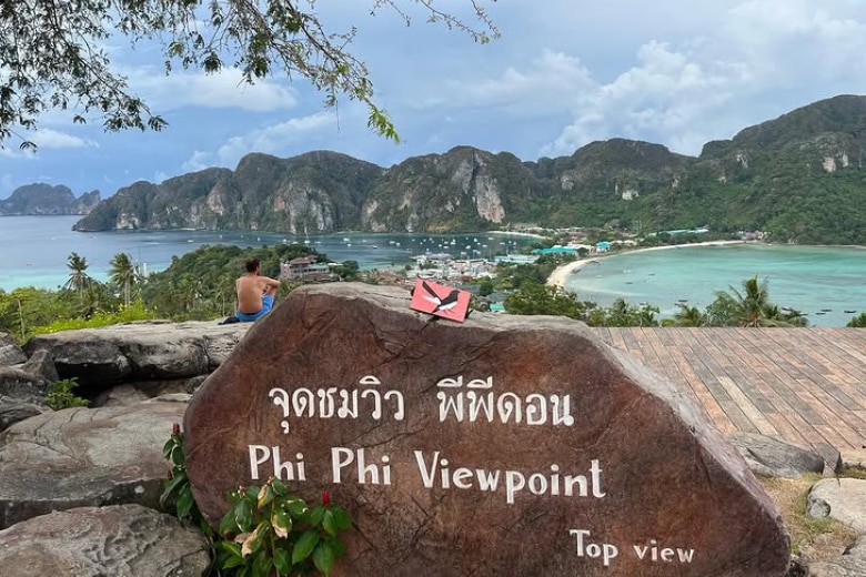 A willie wagtail painting at Phi Phi Viewpoint in Thailand.