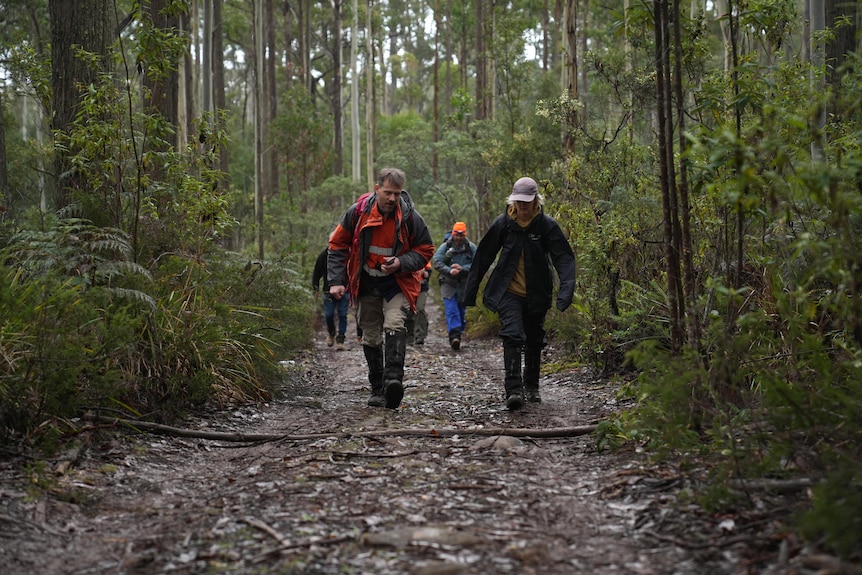 A search party walks towards the camera