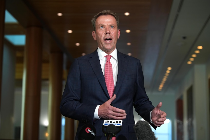 a man in a suit and pink tie speaking inside parliament house.