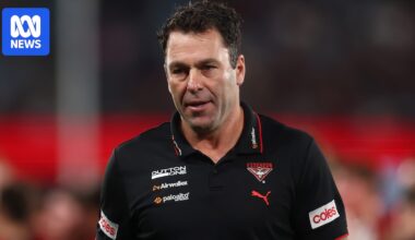 Dean Solomon 'won't consider' chasing full-time Essendon coaching job, denies reports of Brad Scott rift