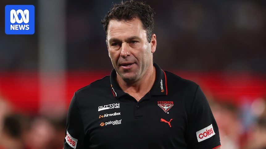 Dean Solomon 'won't consider' chasing full-time Essendon coaching job, denies reports of Brad Scott rift