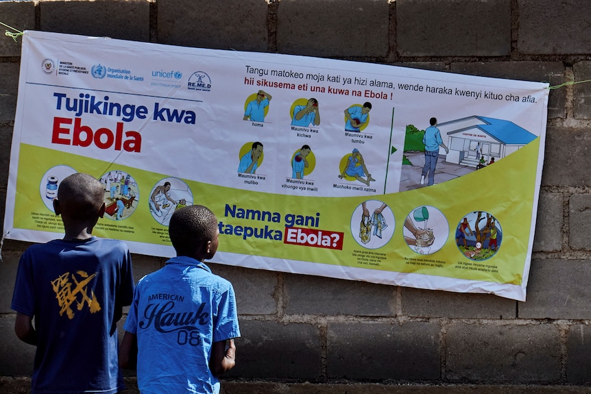 Two children read a large poster with information about avoiding Ebola, hung on a brick wall.