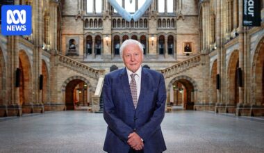 A look at Sir David Attenborough's life in his own words as he turns 100