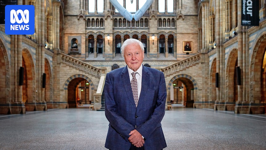 A look at Sir David Attenborough's life in his own words as he turns 100