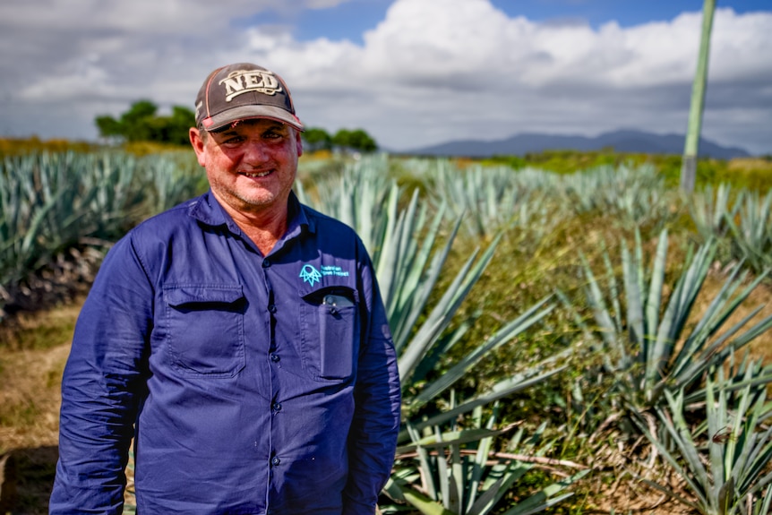 A man standing in front of agave plants.